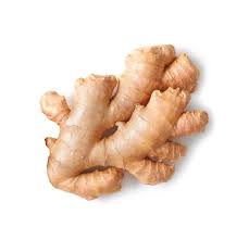 Ginger